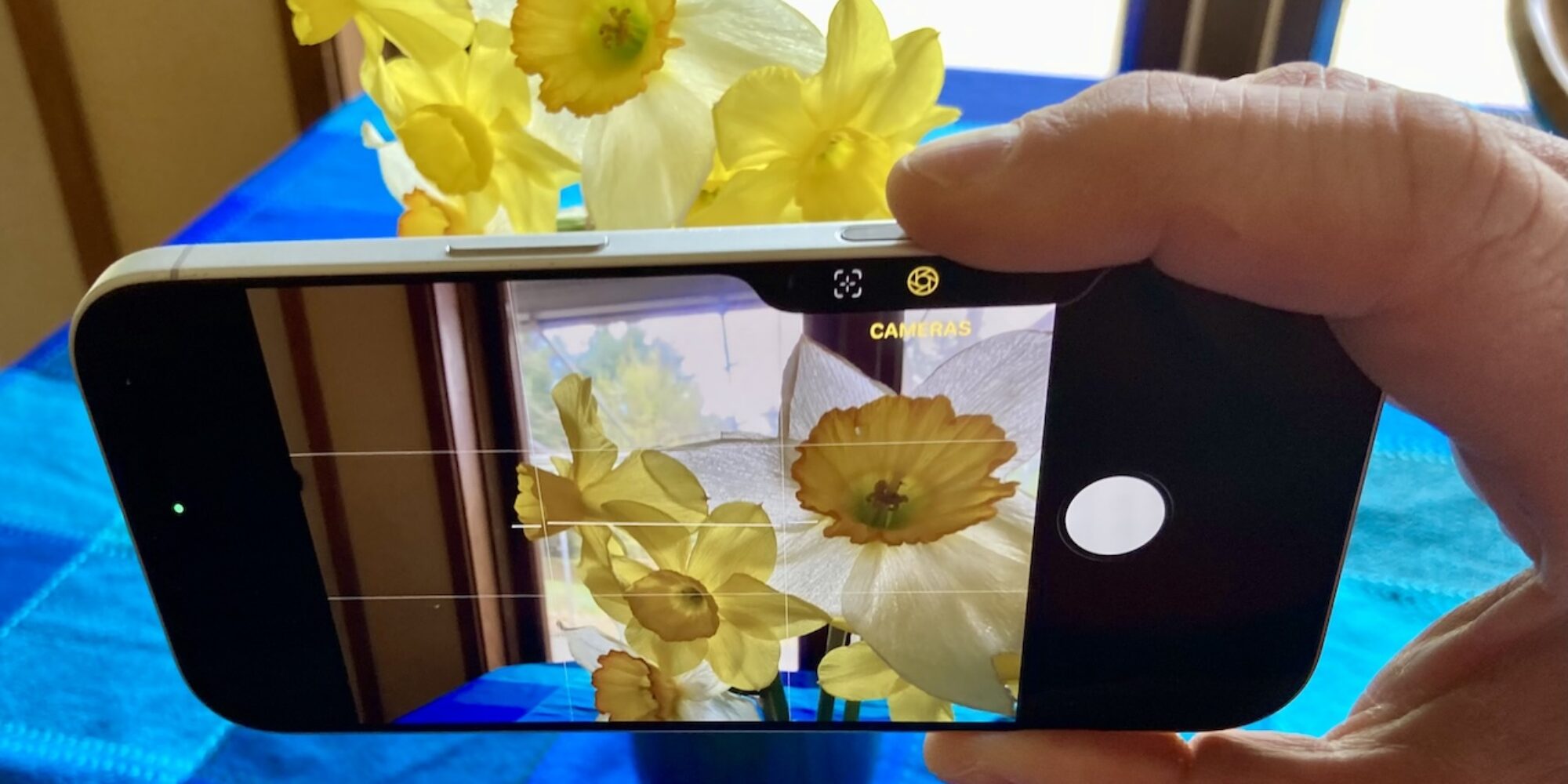 Customize the Camera Control on Your iPhone